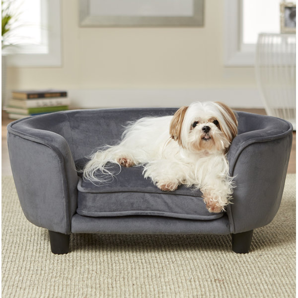 Wayfair dog chair new arrivals